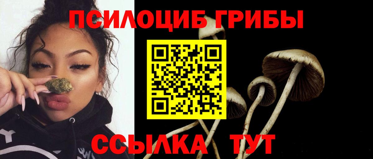 Галлюциногенные грибы Psilocybine cubensis  Псилоцибиновые грибы Psilocybine cubensis  Вход с VPN  Мирный 